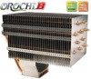 サイズ　OROCHIリビジョンB　SCORC-1100　